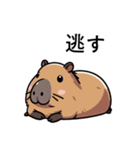 機嫌が悪いカピバラ（個別スタンプ：33）