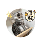 スナギモスタンプ2024（個別スタンプ：5）