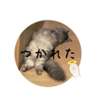 スナギモスタンプ2024（個別スタンプ：17）
