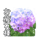 梅雨にぴったり！飛び出す紫陽花と癒しの雨（個別スタンプ：3）