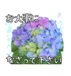 梅雨にぴったり！飛び出す紫陽花と癒しの雨（個別スタンプ：10）