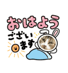 かわちいびぃび（個別スタンプ：1）