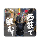 西荻窪の名犬、こぐまちゃんのスタンプ（個別スタンプ：22）