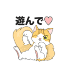 猫のキングのスタンプ（個別スタンプ：1）