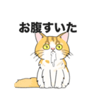 猫のキングのスタンプ（個別スタンプ：4）