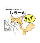 猫のキングのスタンプ（個別スタンプ：6）