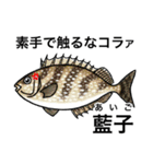 怒魚 釣り好きにしか伝わらないスタンプ（個別スタンプ：1）