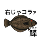 怒魚 釣り好きにしか伝わらないスタンプ（個別スタンプ：13）