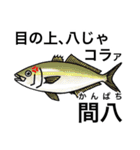 怒魚 釣り好きにしか伝わらないスタンプ（個別スタンプ：15）