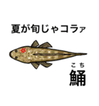 怒魚 釣り好きにしか伝わらないスタンプ（個別スタンプ：19）