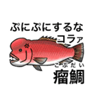 怒魚 釣り好きにしか伝わらないスタンプ（個別スタンプ：20）