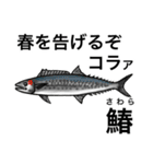 怒魚 釣り好きにしか伝わらないスタンプ（個別スタンプ：23）