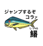 怒魚 釣り好きにしか伝わらないスタンプ（個別スタンプ：25）