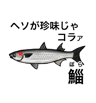 怒魚 釣り好きにしか伝わらないスタンプ（個別スタンプ：34）