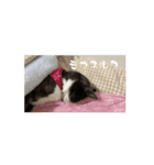 生きてるよめいちゃんわ（個別スタンプ：7）