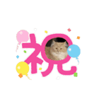 猫たち大集合！！（個別スタンプ：6）