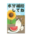 【夏のお便り】モフ猫連合の夏【デカ文字】（個別スタンプ：12）