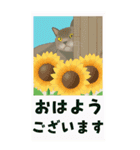 【夏のお便り】モフ猫連合の夏【デカ文字】（個別スタンプ：13）