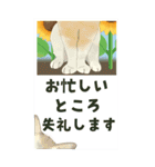 【夏のお便り】モフ猫連合の夏【デカ文字】（個別スタンプ：15）