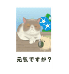 【夏のお便り】モフ猫連合の夏【デカ文字】（個別スタンプ：16）