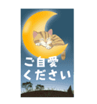 【夏のお便り】モフ猫連合の夏【デカ文字】（個別スタンプ：21）