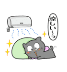 風呂敷猫さんファミリーの夏スタンプ（個別スタンプ：10）