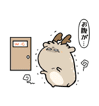 風呂敷猫さんファミリーの夏スタンプ（個別スタンプ：31）