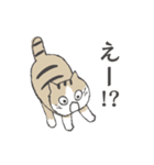 動く！ねこねこね（個別スタンプ：19）