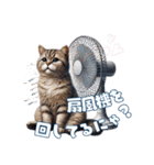 にゃんと安全！熱中症対策スタンプ（個別スタンプ：5）