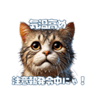 にゃんと安全！熱中症対策スタンプ（個別スタンプ：7）