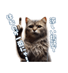 にゃんと安全！熱中症対策スタンプ（個別スタンプ：10）