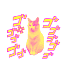 猫からあなたへのスタンプ（個別スタンプ：2）
