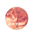 猫からあなたへのスタンプ（個別スタンプ：4）