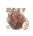 猫からあなたへのスタンプ（個別スタンプ：14）