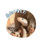 あんぱんのペットたち①（個別スタンプ：5）