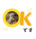 あんぱんのペットたち①（個別スタンプ：6）
