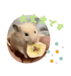 あんぱんのペットたち①（個別スタンプ：8）
