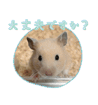 あんぱんのペットたち①（個別スタンプ：9）