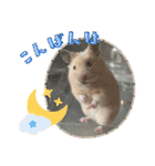 あんぱんのペットたち①（個別スタンプ：12）