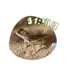 あんぱんのペットたち①（個別スタンプ：14）