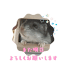 あんぱんのペットたち①（個別スタンプ：15）