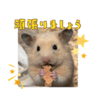 あんぱんのペットたち①（個別スタンプ：19）