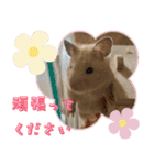 あんぱんのペットたち①（個別スタンプ：20）