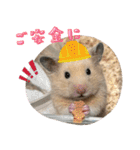 あんぱんのペットたち①（個別スタンプ：22）