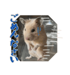 あんぱんのペットたち①（個別スタンプ：24）