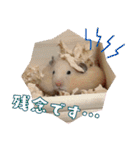 あんぱんのペットたち①（個別スタンプ：26）