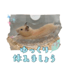 あんぱんのペットたち①（個別スタンプ：30）