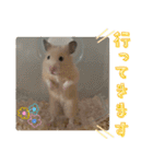 あんぱんのペットたち①（個別スタンプ：31）