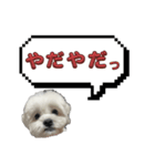 ちゃぴってみよう。つー（個別スタンプ：9）