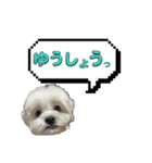 ちゃぴってみよう。つー（個別スタンプ：11）